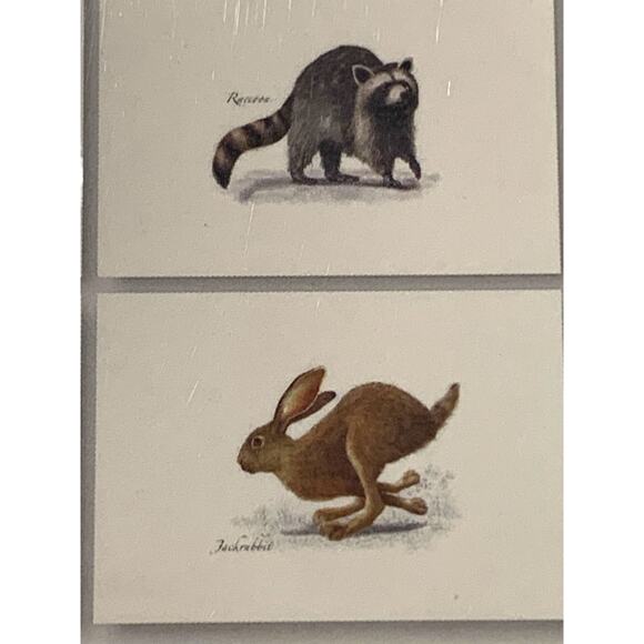 Set of 8 Notecards and Envelopes Small Mammal Assortment New - Picture 6 of 8